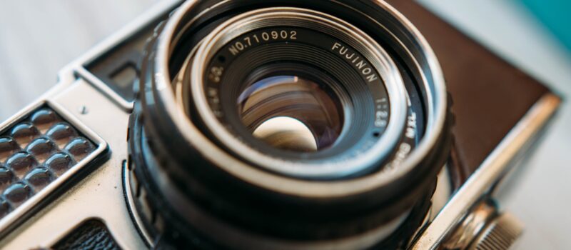 Unknown plants are noticed